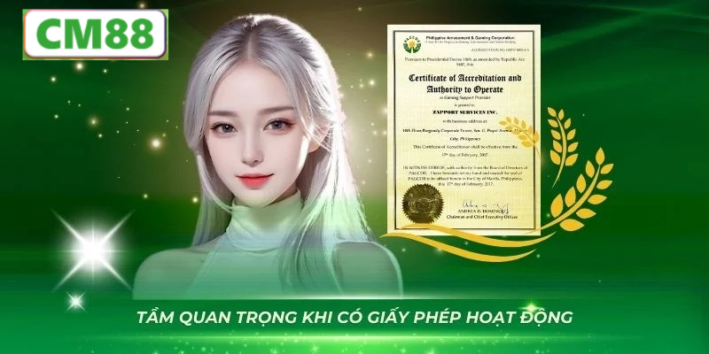 Nguồn gốc và giấy phép hoạt động của CM88